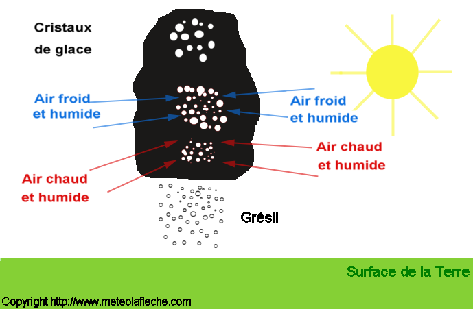 Image formation du gresil