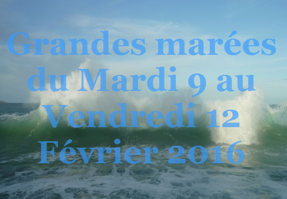 Grandes mares 9 au 12 Fvrier 2016