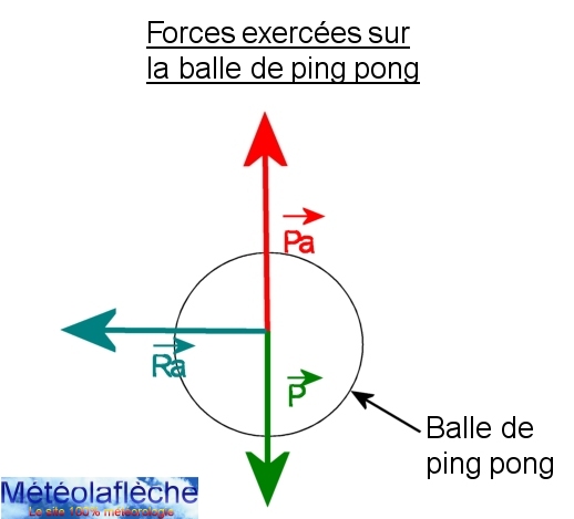 forces balle ping pong