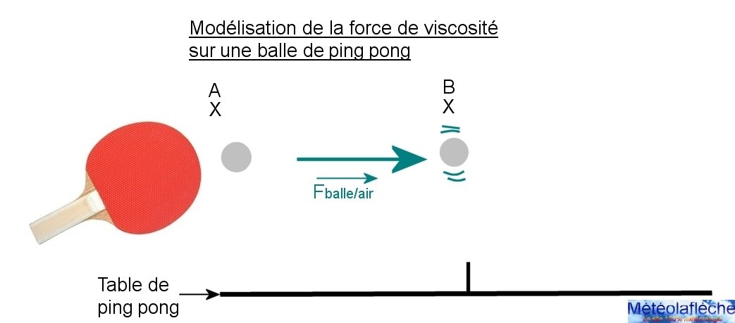 Les parties d'une raquette de tennis de table