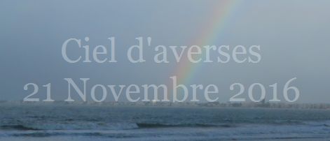 Ciel de grains 21 Novembre 2016