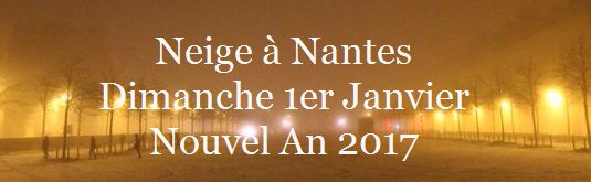 Neige Nantes Nouvel An 2017