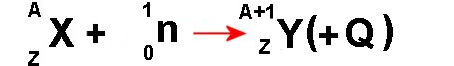 reaction fission