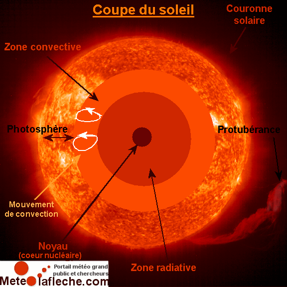 Coupe du soleil avec la zone radiative